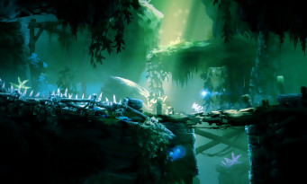 Ori and the Blind Forest