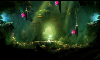 Ori and the Blind Forest