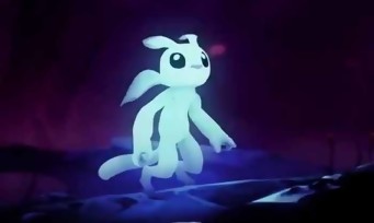 Ori and the Will of the Wisps : le jeu en 4K 120fps sur Xbox Series X