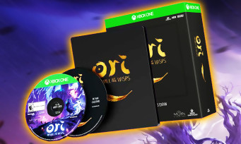 Ori and the Will of the Wisps : découvrez la superbe édition collector !