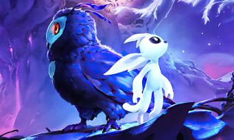 Ori : nouvelle version physique pour les deux jeux sur Switch