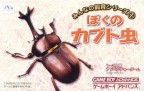 Our Breeding Series : My Beetle
