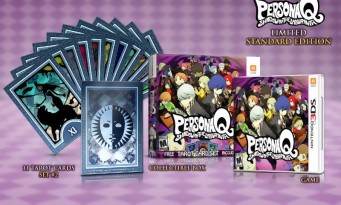 Persona Q Shadow of the Labyrinth