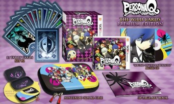 Persona Q Shadow of the Labyrinth