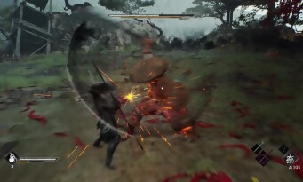 Phantom Blade Zero