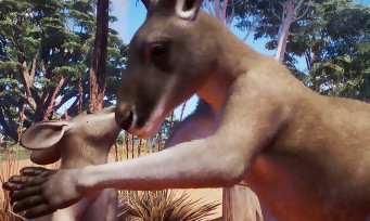 Planet Zoo : trailer de gameplay du DLC "Australie" avec de nouveaux animaux