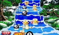 Point Blank DS