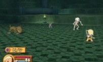 PoPoLoCrois : Hajimari no Bouken