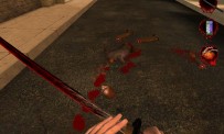 Postal 2