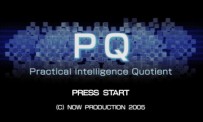 PQ : Practical Intelligence Quotient