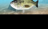 Real 3D Bass Fishing Fish On
