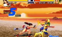 Real Bout Fatal Fury Special