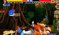 Real Bout Fatal Fury Special