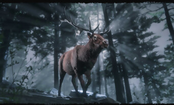 Red Dead Online