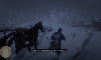 Red Dead Redemption 2