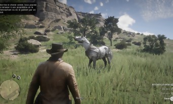 Red Dead Redemption 2