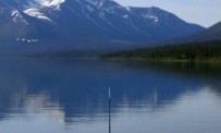 Reel Fishing : Angler's Dream