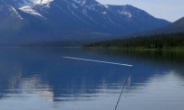Reel Fishing : Angler's Dream