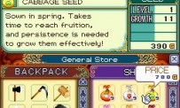 Rune Factory 2 : A Fantasy Harvest Moon