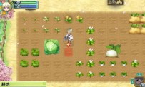 Rune Factory 4