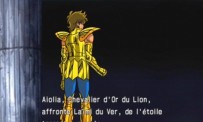 Saint Seiya, Les Chevaliers du Zodiaque : Hades 