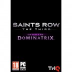 Saints Row 3 : Enter The Dominatrix