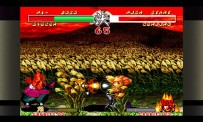 Samurai Shodown II