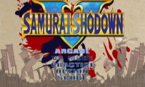 Samurai Shodown V