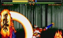 Samurai Shodown V