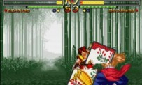 Samurai Shodown V