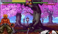 Samurai Shodown V