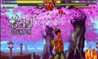 Samurai Shodown V