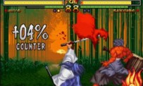 Samurai Shodown V