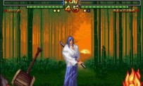 Samurai Shodown V