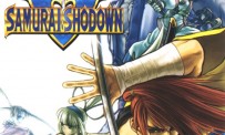 Samurai Shodown V