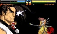 Samurai Shodown V