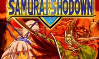 Samurai Shodown V