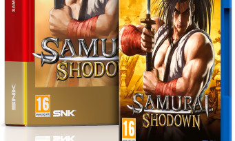 Samurai Shodown 2019