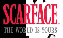 Scarface : The World is Yours