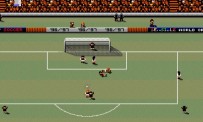 Sensible World of Soccer