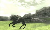 Shadow of The Colossus