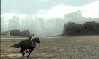 Shadow of The Colossus