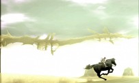 Shadow of The Colossus