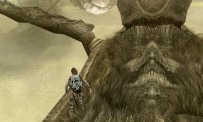 Shadow of The Colossus