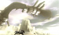 Shadow of The Colossus