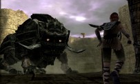 Shadow of The Colossus