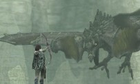 Shadow of The Colossus