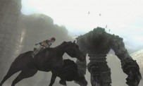 Shadow of The Colossus