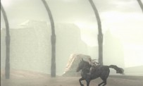 Shadow of The Colossus