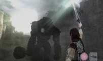 Shadow of The Colossus